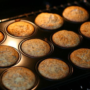 Orange and Poppy Seed Muffins Orange and Poppy Seed Muffins