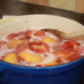Vanilla Poached Plums Vanilla Poached Plums