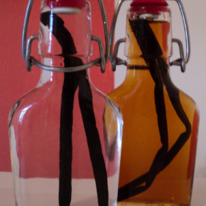 Vanilla Extract Vanilla Extract
