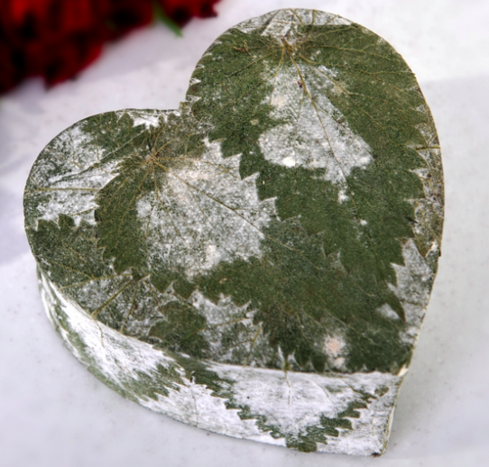 The most beautiful cheese in the world! Cornish Yarg is one of my all time favourites. (photo by Cornish Yarg)