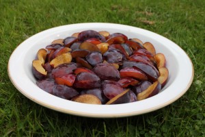 Plums in dish